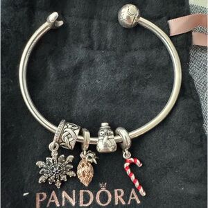 Pandora Charm bracelet